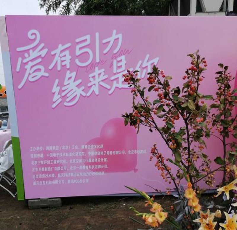 相亲网站